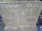image of grave number 281478